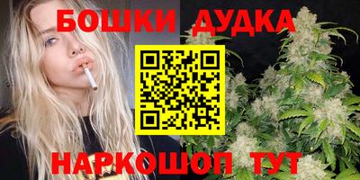дурь Гай