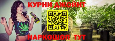 шишки Гагарин
