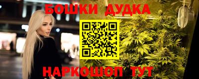 дурь Гай