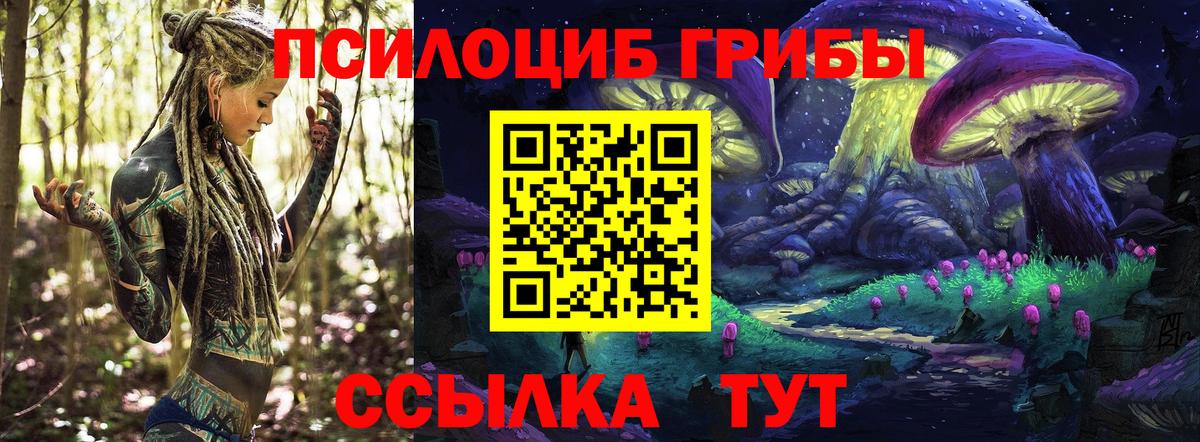 Галлюциногенные грибы мухоморы Псков