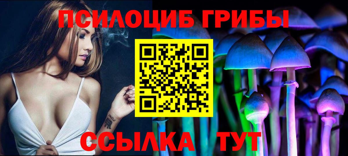 Псков  Псилоцибиновые грибы Psilocybe  Вход с VPN 